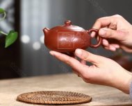 《扁乳西施鳥趣》