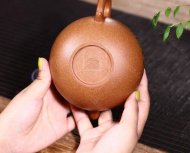 《蓮子卡銀絲》