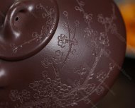 瓣生香獨傲寒，此梅難并眾梅看。 【