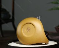 《金蟾納?！? title=