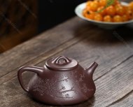 瓣生香獨傲寒，此梅難并眾梅看。 【