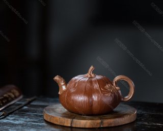 貼葉矮南瓜 貼葉矮南瓜