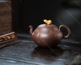 松鼠葡萄 松鼠葡萄